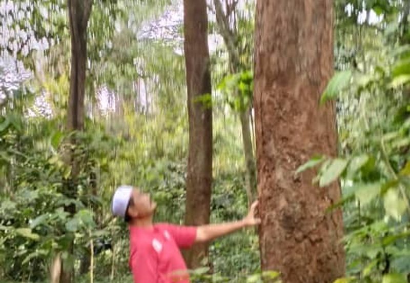 3 LOT TANAH KEBUN UNTUK DIJUAL DI PASIR GAJAH, KEMAMAN, TERENGGANU