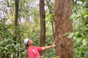 3 LOT TANAH KEBUN UNTUK DIJUAL DI PASIR GAJAH, KEMAMAN, TERENGGANU