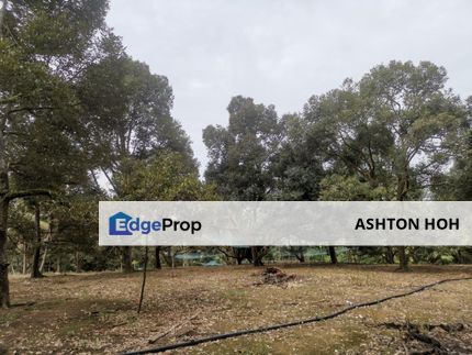 DURIAN FREEHOLD Agriculture Land Machap Alor Gajah Melaka For Sale, Melaka, Alor Gajah