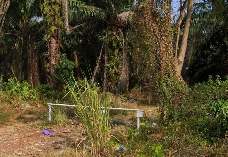 FREEHOLD Residential Zoning Land Tangga Batu.