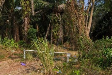 FREEHOLD Residential Zoning Land Tangga Batu.