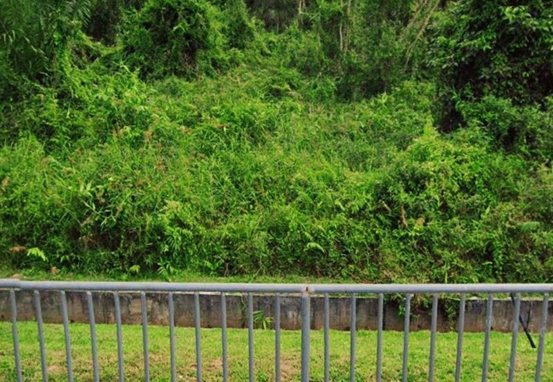 Taman Bertam Perdana