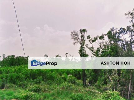 FREEHOLD MCL Tanah Pertanian Perumahan Agricultural Residential Land Taman Bertam Perdana Pulau Gadong Pokok Mangga Cheng Malim Jaya Tanjung Minyak, Melaka, Melaka Tengah