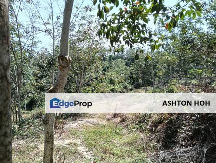 4 ACRES Agricultural Land Mukim Lendu Alor Gajah For Sale Sungai Udang Baru Masjid Tanah Terendak Paya Rumput Jaya , Melaka, Alor Gajah