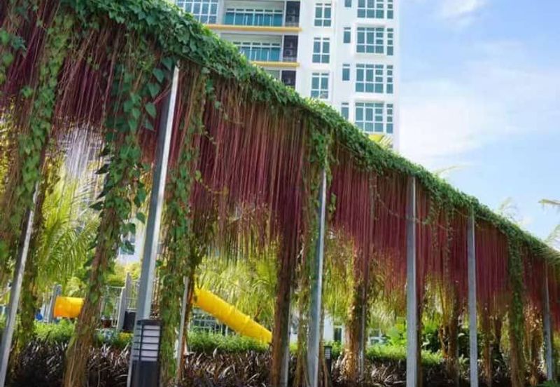 D' Suites Akasia Horizon