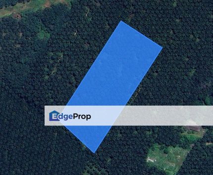 Tepi SDE Highway Tanah Sawit 6.13 Ekar di Sungai Tiram Johor Bahru, Johor, Ulu Tiram