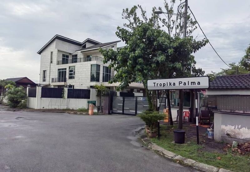 Tropika Palma