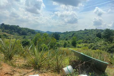 PREMIUM AGRICULTURE LAND RESIDENTIAL ZONING FREEHOLD BUKIT CHERAKAH, SELANGOR