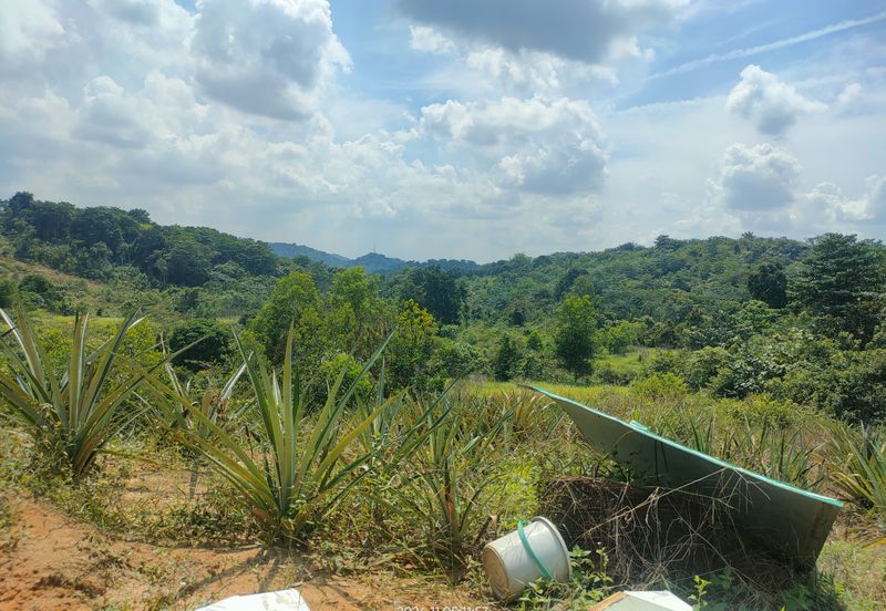 PREMIUM AGRICULTURE LAND RESIDENTIAL ZONING FREEHOLD BUKIT CHERAKAH, SELANGOR
