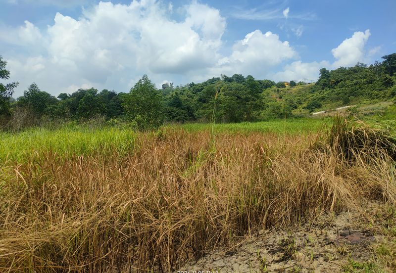 PREMIUM AGRICULTURE LAND RESIDENTIAL ZONING FREEHOLD BUKIT CHERAKAH, SELANGOR