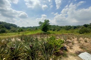 PREMIUM AGRICULTURE LAND RESIDENTIAL ZONING FREEHOLD BUKIT CHERAKAH, SELANGOR