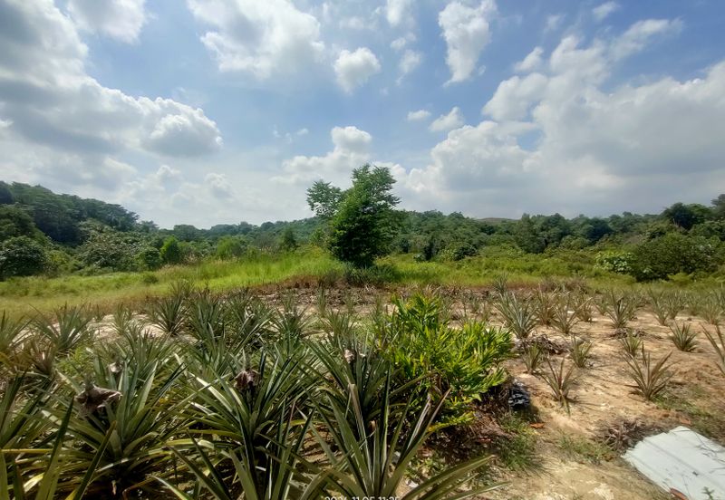 PREMIUM AGRICULTURE LAND RESIDENTIAL ZONING FREEHOLD BUKIT CHERAKAH, SELANGOR