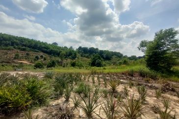 PREMIUM AGRICULTURE LAND RESIDENTIAL ZONING FREEHOLD BUKIT CHERAKAH, SELANGOR