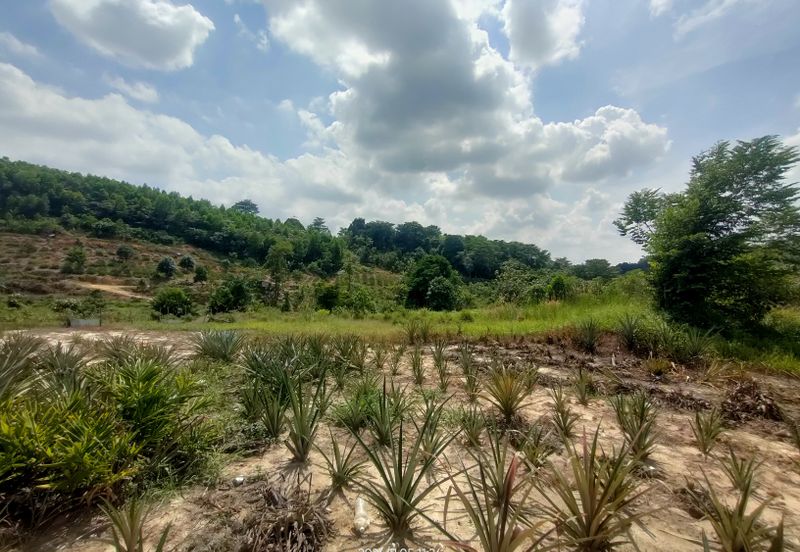 PREMIUM AGRICULTURE LAND RESIDENTIAL ZONING FREEHOLD BUKIT CHERAKAH, SELANGOR