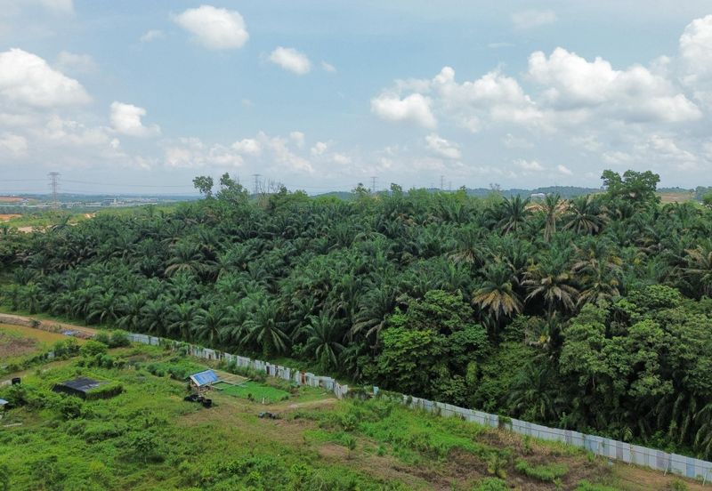 RM 20 per sqft Industrial Land in Tanjung Malim For Sale