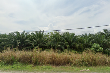 Agricultural Land for Sale – Sijangkang, Telok Panglima Garang