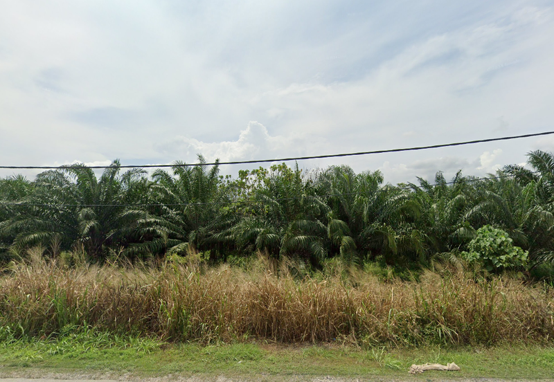 Agricultural Land for Sale – Sijangkang, Telok Panglima Garang