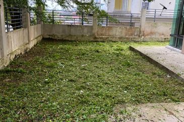 Begonia @ D'Impian Tropika