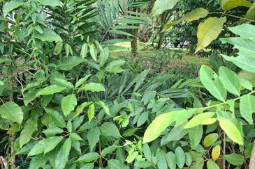 Country Heights Kajang