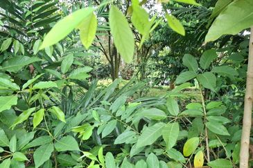 Country Heights Kajang