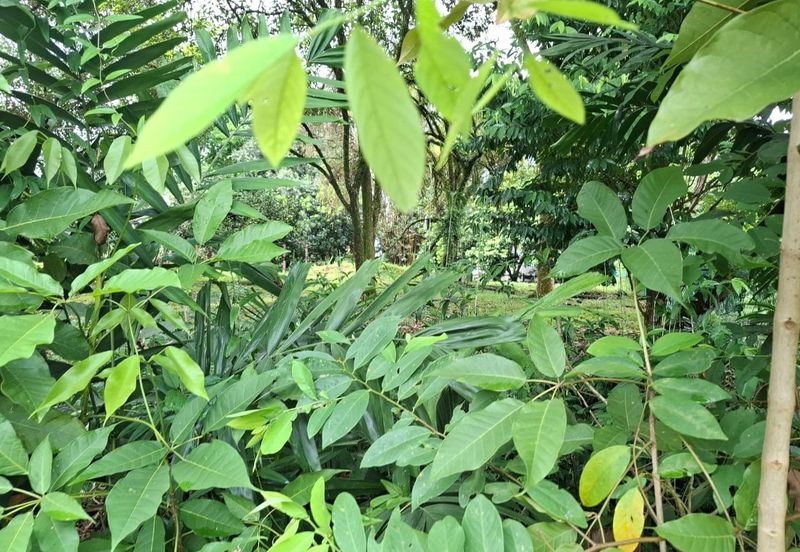 Country Heights Kajang