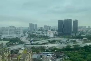 Cubic Botanical (Residensi Rimba)