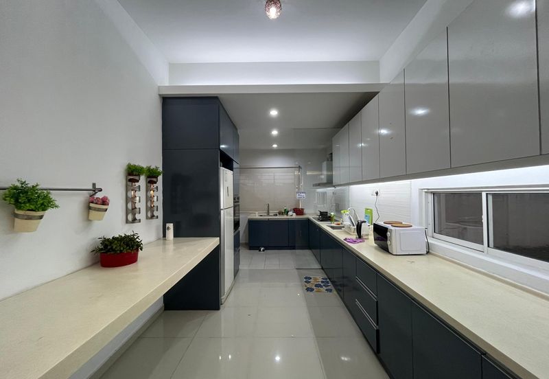 Aster @ D'Impian Tropika