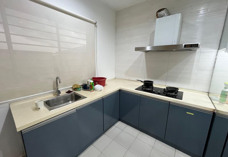 Aster @ D'Impian Tropika