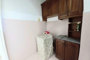 Evergreen Park Acorn and Hazel