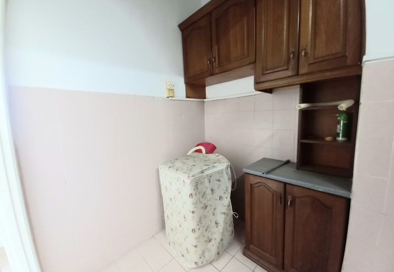 Evergreen Park Acorn and Hazel