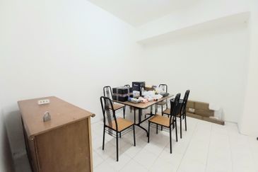 Evergreen Park Acorn and Hazel