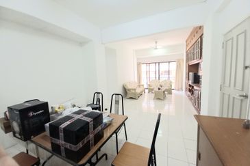 Evergreen Park Acorn and Hazel