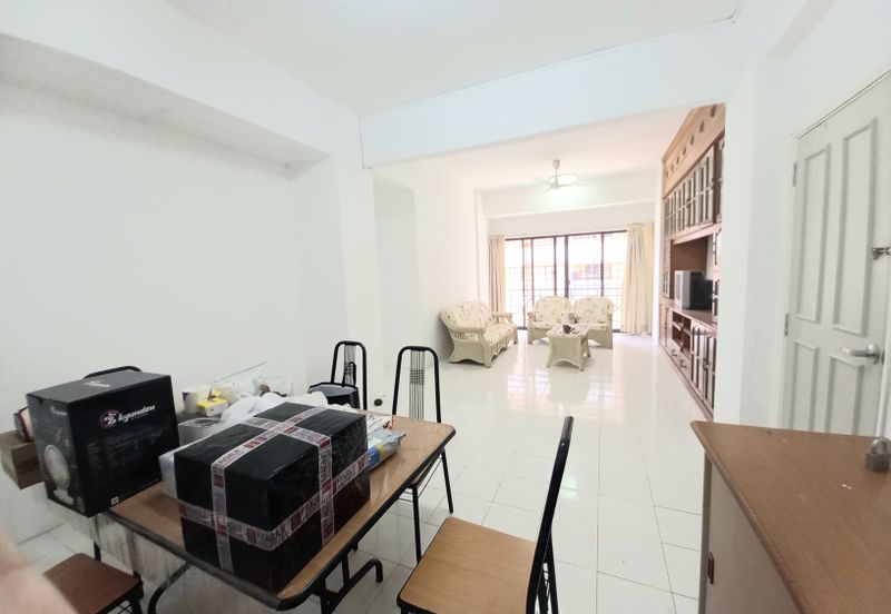 Evergreen Park Acorn and Hazel