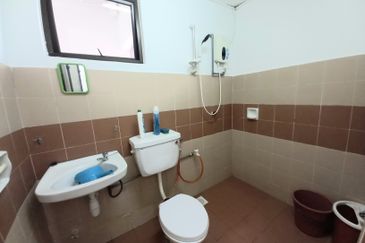 Evergreen Park Acorn and Hazel