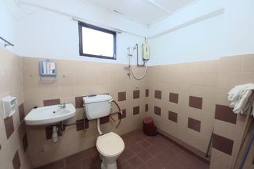 Evergreen Park Acorn and Hazel