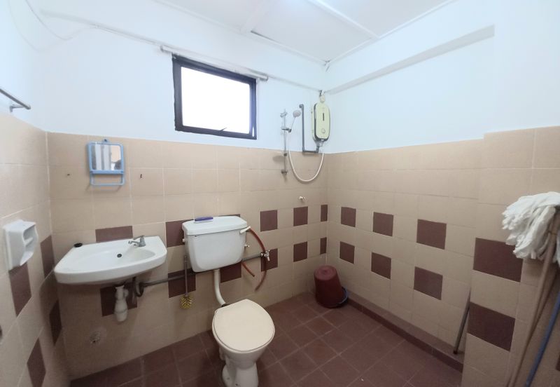 Evergreen Park Acorn and Hazel