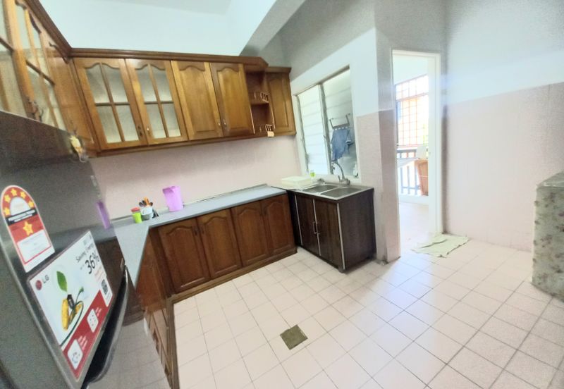 Evergreen Park Acorn and Hazel