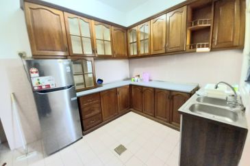 Evergreen Park Acorn and Hazel