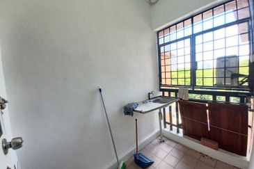 Evergreen Park Acorn and Hazel