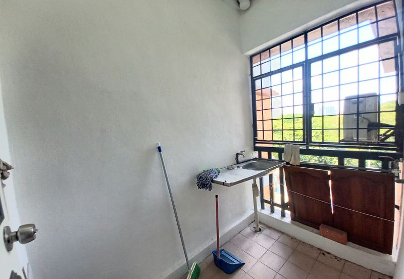 Evergreen Park Acorn and Hazel