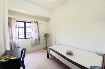 Evergreen Park Acorn and Hazel