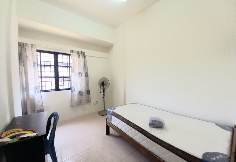 Evergreen Park Acorn and Hazel