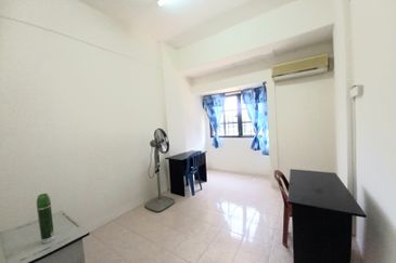 Evergreen Park Acorn and Hazel