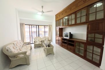 Evergreen Park Acorn and Hazel