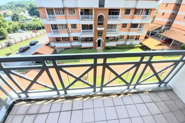 Evergreen Park Acorn and Hazel