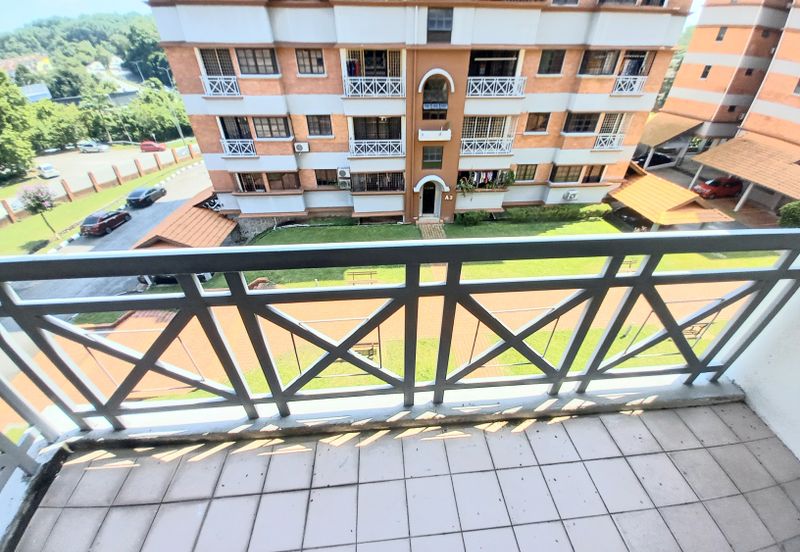 Evergreen Park Acorn and Hazel