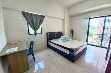 Evergreen Park Acorn and Hazel