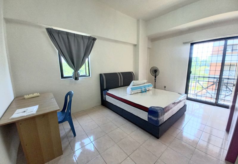 Evergreen Park Acorn and Hazel