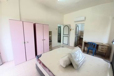 Evergreen Park Acorn and Hazel