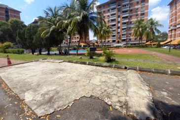 Evergreen Park Acorn and Hazel